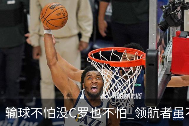 输球不怕没C罗也不怕 领航者虽不在葡萄牙未来仍可期